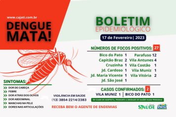 BOLETIM EPIDEMIOLÓGICO DA DENGUE 