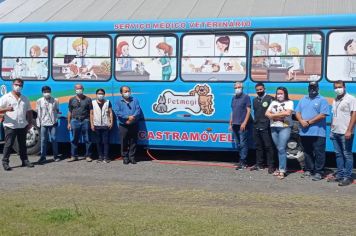 Cajati realiza a castração de 187 cães e gatos no município