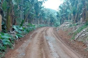 Serviços Municipais está realizando manutenções no Braço do Rio Azeite