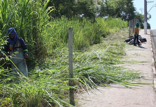 Dia de Mutirão da Limpeza e Nebulização contra a Dengue 