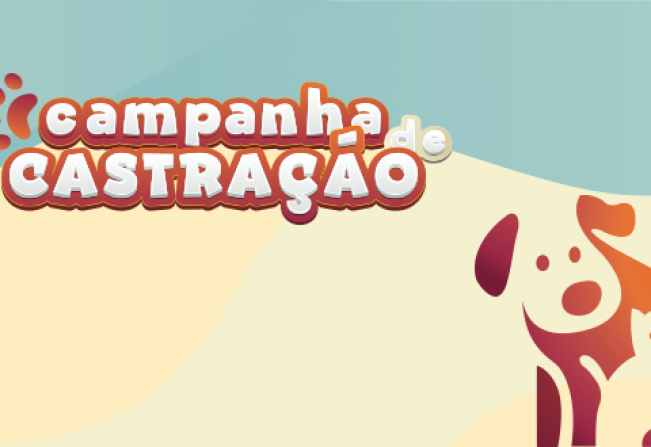 Prefeitura seleciona cães e gatos para a Campanha de Castração